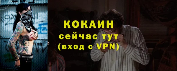 МДПВ Снежногорск