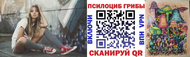 наркота Ахтубинск Галлюциногенные грибы Magic Shrooms