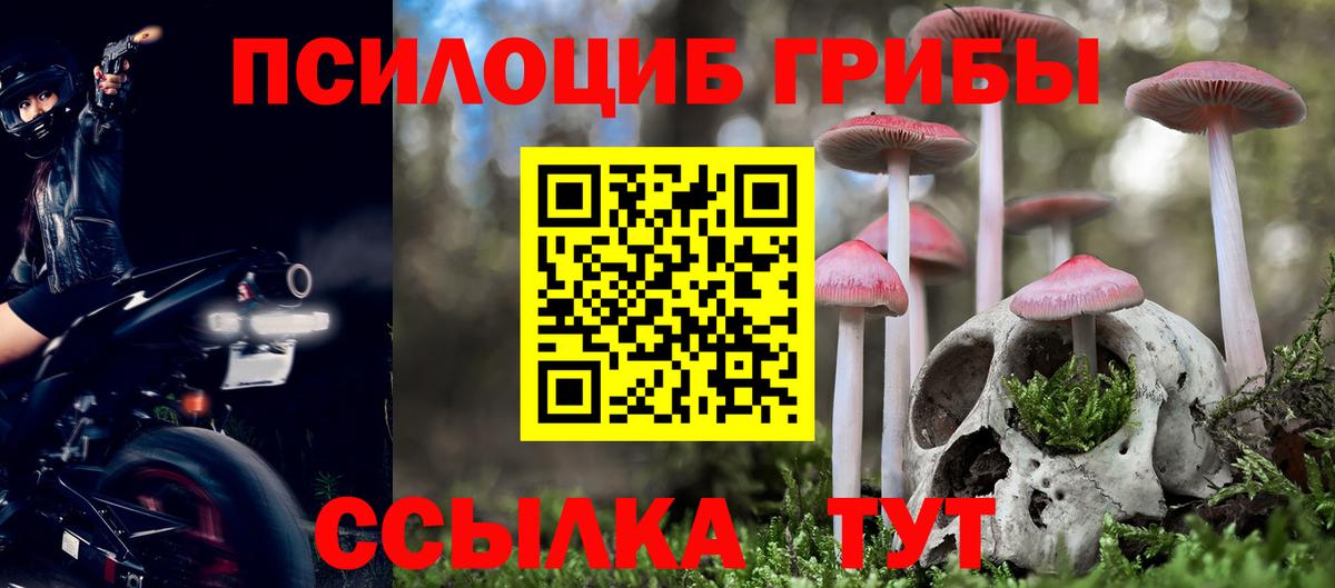 Ахтубинск  Галлюциногенные грибы Psilocybe  Вход с VPN  Галлюциногенные грибы MAGIC MUSHROOMS 